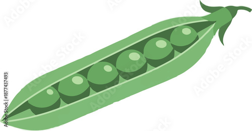 A cartoon illustration of a green pea pod with six peas inside, isolated on a white background