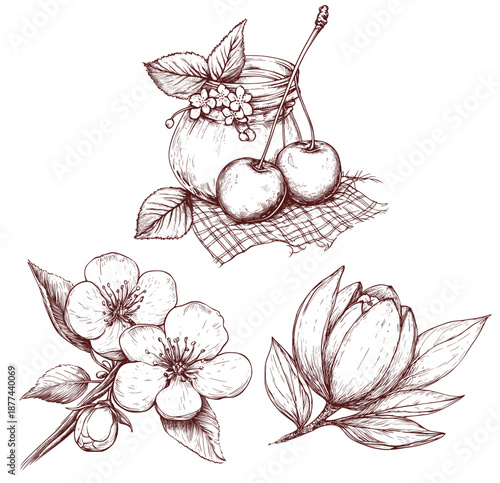 Hand Drawn Sweet Cherries with Jam Jar and Spring Blossoms Illustration Vector Set