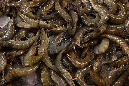 Fresh Shrimp On Ice Bath