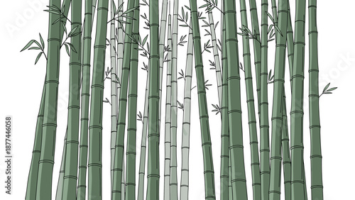 Tranquil green forest of bamboo stalks in minimalist nature art design