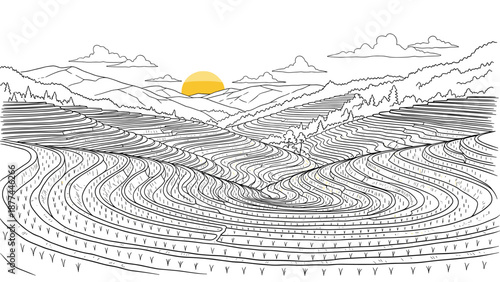 Scenic mountain landscape with rice terraces and sunrise line art