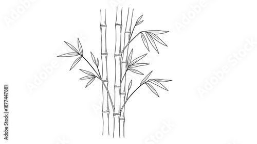 Elegant bamboo line art design with minimalist black and white theme