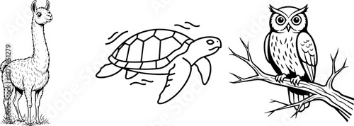 Black and White Line Art Animals Collection: Llama, Sea Turtle, Owl