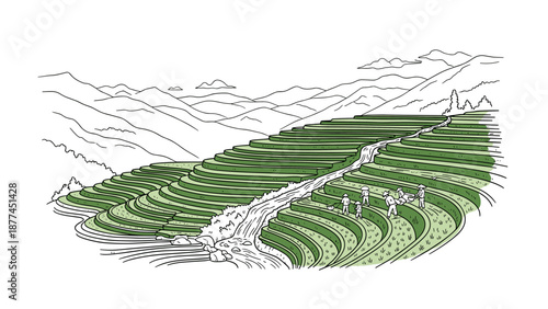 Scenic terraced rice fields with farmers sketch in mountain landscape