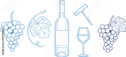 Wine tasting set bottle glass grapes and corkscrew illustration