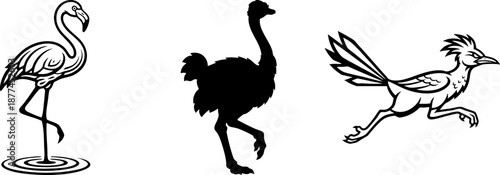 Graphic Collection of Flamingo Ostrich and Roadrunner Birds