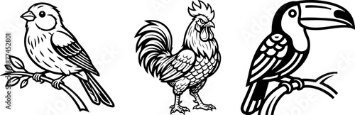 Black and White Bird Drawing Set Rooster Toucan and Songbird Line Art