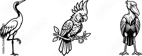 Exotic Birds Graphic Collection Black and White Vector Art