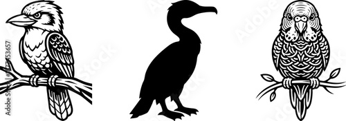 Black and white vintage engraving style bird illustrations set.