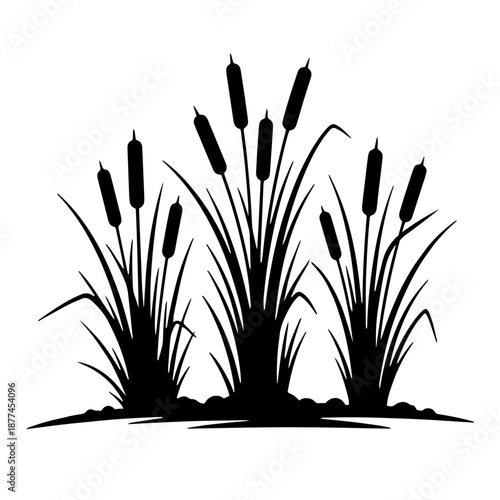 Bulrush grass silhouette vector illustration with clean black botanical reeds