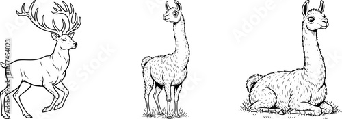 Hand Drawn Stag and Llama Illustrations Set Line Art Graphics