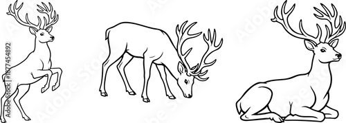 Detailed Deer Stag Outline Illustration Set Vector Drawing Art