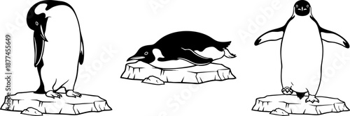 Black and White Penguin Vector Illustrations on Ice Floe