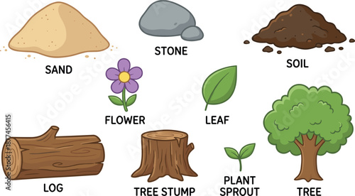Cartoon nature element set with labels, tree flower leaf soil sand stone log stump sprout, kids educational art