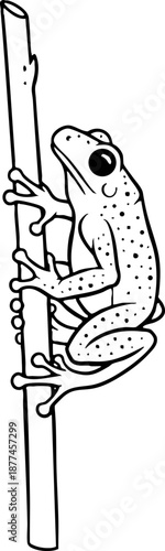 Cute Spotted Frog Clinging to Branch Line Art Drawing
