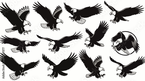 Black and white of eagles in various flying positions flying birds bird silhouettes white background
