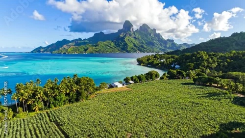 Aerial view of a tropical island with lush green fields and turquoise waters.