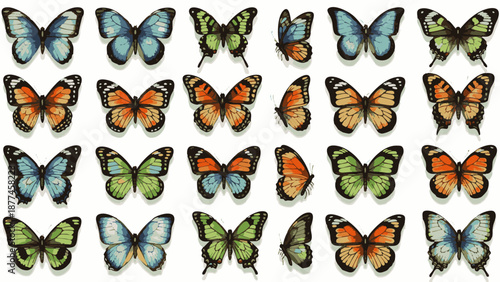 Colorful butterflies in various shades of blue green and orange on white background
