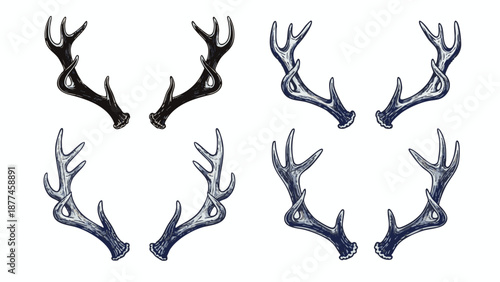 Deer antlers in black and blue on white background