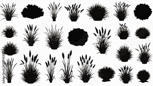 Black silhouettes of various grasses and plants on white background 1
