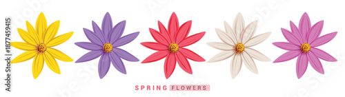 Spring Arnica Flowers clipart set. Spring Flowers clip art like daisy, arnica, sunflower and Jerusalem artichoke floral collection in white background vector illustration.
