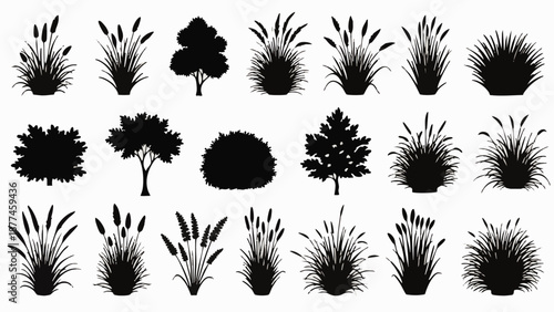 Black silhouettes of various plants and trees on white background grass bush foliage