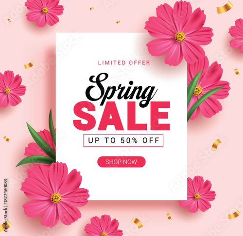 Spring Sale clipart template design. Spring Sale poster clip art with limited offer discount promo text in white frame advertisement and pink daisy flowers decoration vector illustration.
