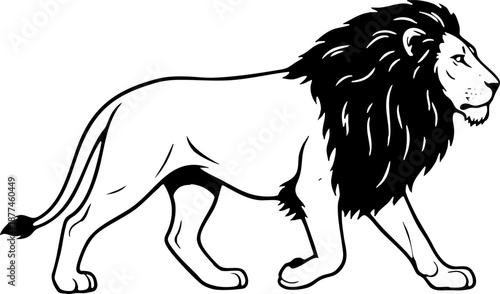 Bold black and white illustration of a majestic walking male lion.