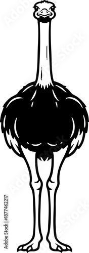 Full Body Ostrich Engraving Illustration Black and White Graphic