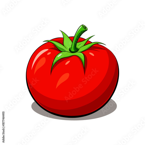 Fresh Red Tomato Vector Illustration Isolated on White Background. Ripe Red Tomato Icon, Fresh Organic Vegetable Illustration.