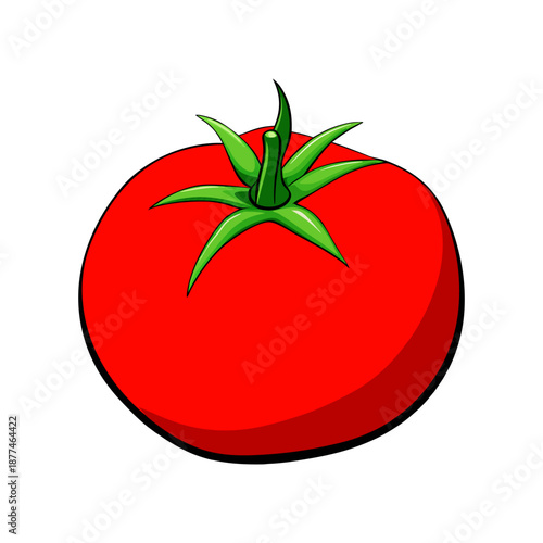 Fresh Red Tomato Vector Illustration Isolated on White Background. Ripe Red Tomato Icon, Fresh Organic Vegetable Illustration.