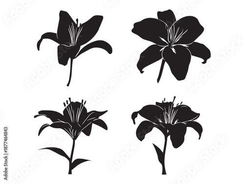 Gorgeous Lily Flower Icons With Elegant Floral Silhouettes  