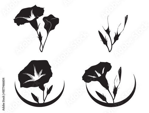 A gorgeous collection of four simple solid black morning glory graphics