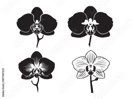 A lovely set of four beautiful orchid flower silhouette vector icons