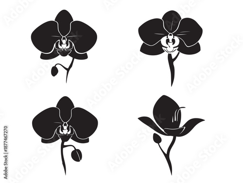 A gorgeous set of four intricate black exotic orchid silhouette icons
