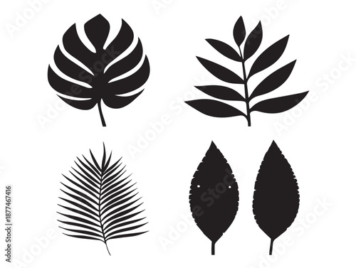 A beautiful collection of four detailed black individual palm leaf graphics