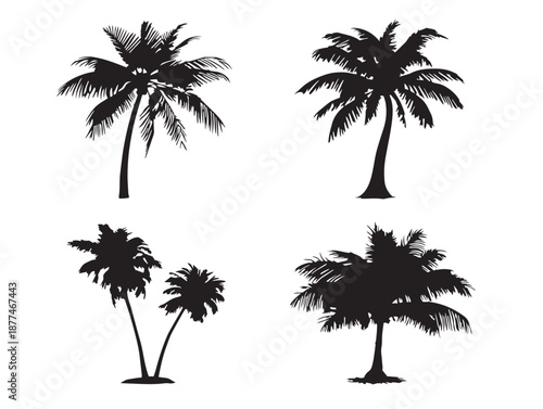 A gorgeous collection of four beautiful solid black palm tree graphics