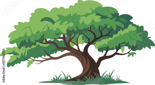 Cartoon illustration of a broad green leafy tree with a dark brown trunk Keywords: tree, cartoon, illustration, green, leafy, broad