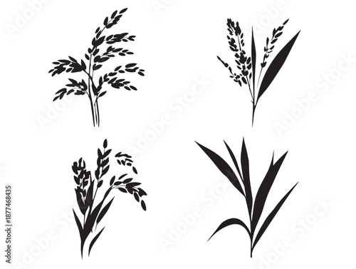 A beautiful set of four elegant black rice plant silhouette vector icons