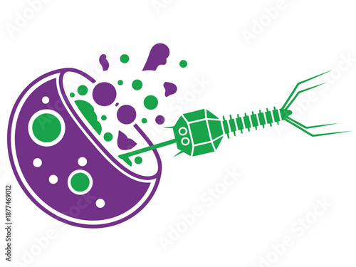Phage infection illustration: A bacteriophage attacks a bacterial cell, showcasing lysis. Vibrant colors and a clear, detailed depiction of the process. Ideal for science and biology visuals.