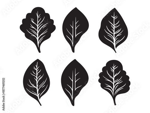 A nice set of four stunning black healthy spinach leaf silhouette illustrations