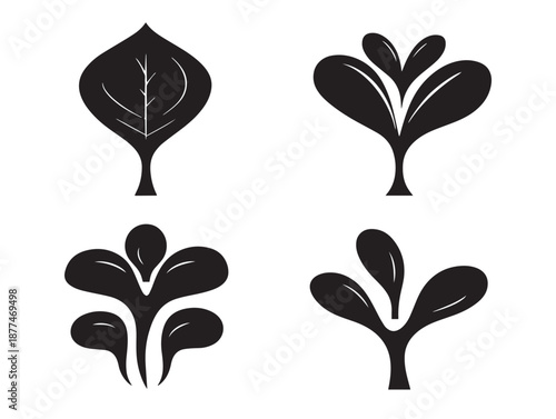 A gorgeous set of four dynamic black emerging sprout vector icons