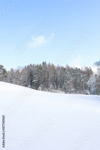 winter landscape with snow