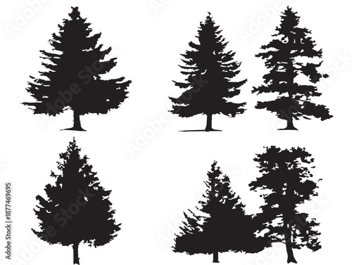 A gorgeous set of four dynamic black spruce tree vector icons