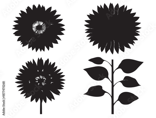A stunning collection of four beautiful black sunflower bloom silhouette graphics