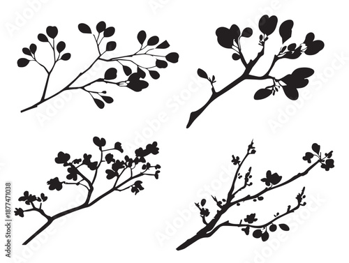 A gorgeous collection of four intricate black nature twig silhouette illustrations