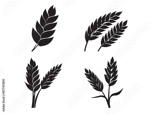 A nice collection of four beautiful black grain and stalk silhouette graphics