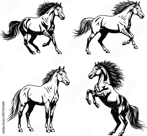 Set of black horse vector illustrations featuring stallions galloping, standing, and grazing for equestrian branding, ranch logos and sports.