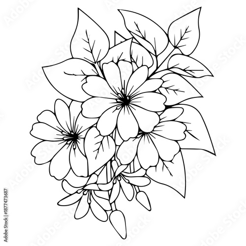 flower coloring page vector