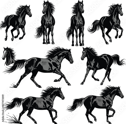 Set of black horse vector silhouettes galloping and standing in various poses, majestic stallion illustrations for equestrian sports and ranch branding.